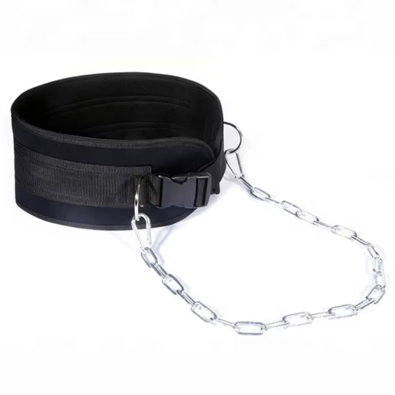 Exercise Equipment Heavy Chain - Weight Lifting Belt 评论和价格