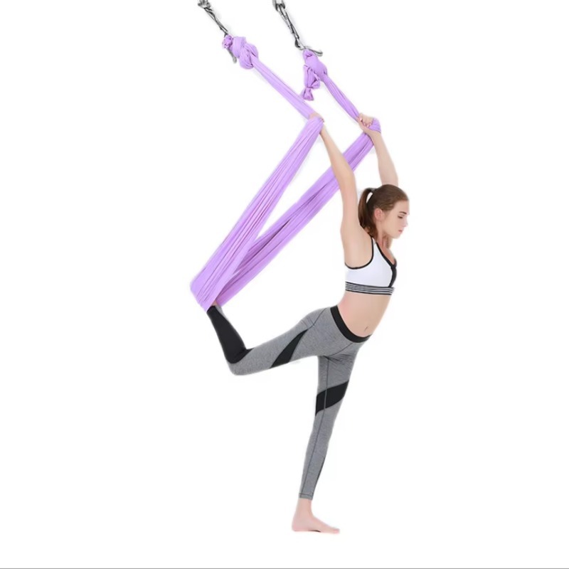 2.8x5m Professional High Quali - Yoga Swing Aerial 评论和价格