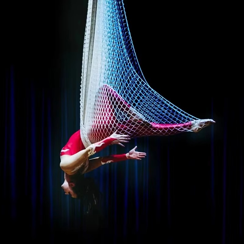Aerial Hammock Yoga Net Style  - Yoga Swing Aerial 评论和价格