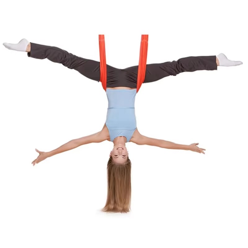 Aerial Yoga Suspension Straps  - Yoga Swing Aerial 评论和价格